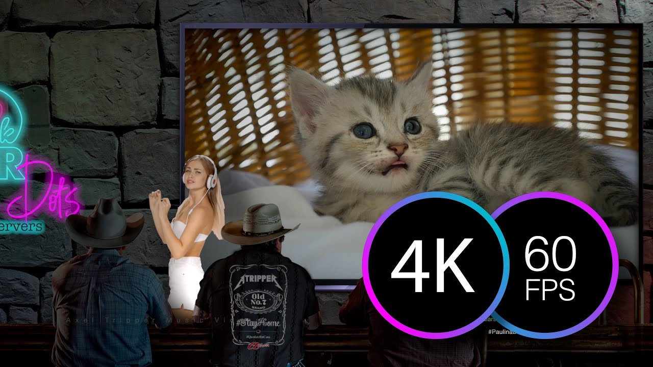 Relaxing kittens and puppies Special Edition 4K Ultra HD