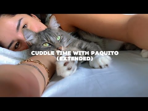 Cuddle Time with Paquito (Extended)