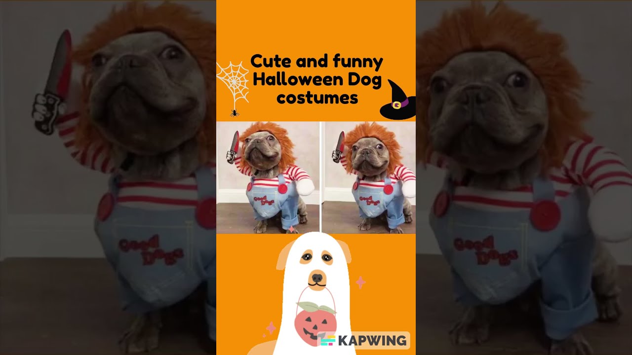 Cute and funny halloween dog costumes