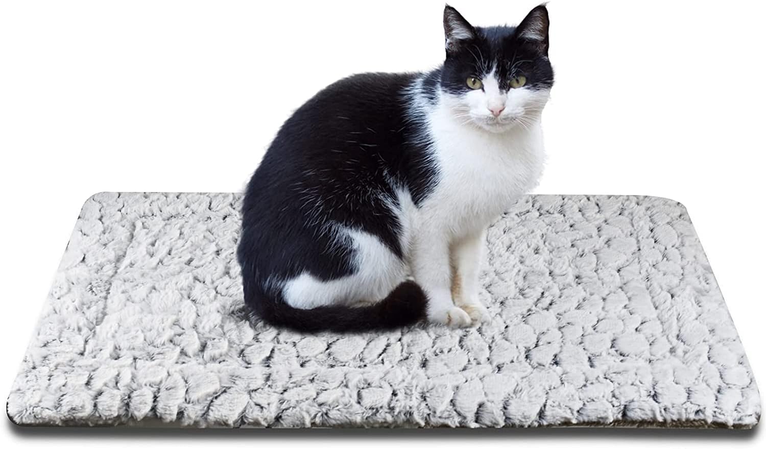 Cat Create Heated mat Bed Self-Heating Cat and Dog Pad, Warm Pet Pad, Thick and Soft, Double-Sided Available (Small, Stone)