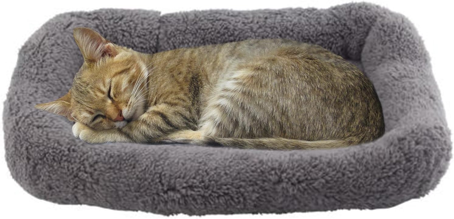 Cat Bed for Small Cat, Washable Indoor Cat Cushion Bed, Soft and Cozy Plush Pet Bed-S